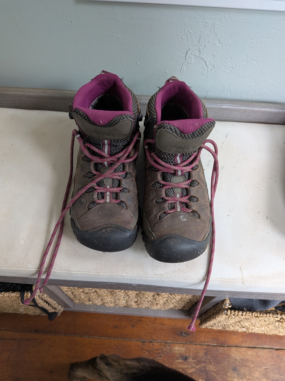 KEEN Women’s Targhee III Mid Waterproof hiking boots Size 7